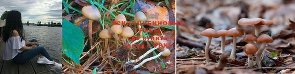 стафф Белоозёрский
