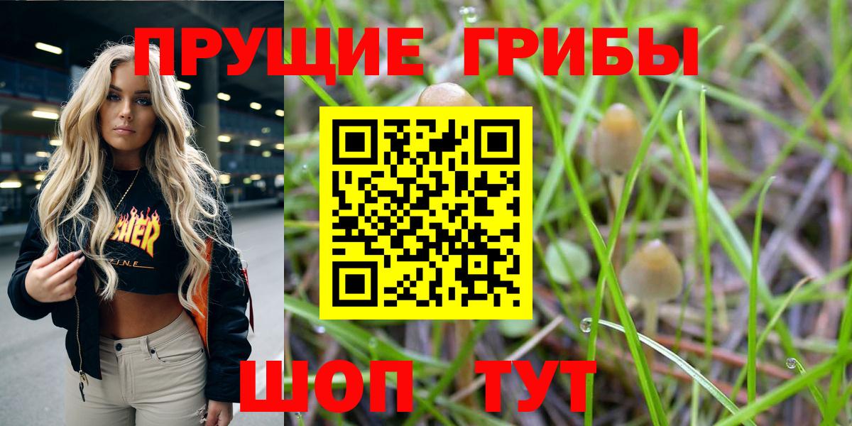 Бузулук  Галлюциногенные грибы MAGIC MUSHROOMS  Вход с VPN  Галлюциногенные грибы GOLDEN TEACHER 